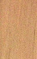 Le charme commun (Carpinus betulus). Bois. Cliquer pour agrandir l'image.