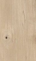 Le charme commun (Carpinus betulus). Bois en coupe longitudinale. Cliquer pour agrandir l'image.