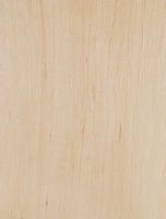 Le charme commun (Carpinus betulus). Bois en coupe longitudinale. Cliquer pour agrandir l'image.