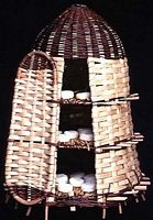 Châtaignier commun. Hotte à fromages cévenole. Cliquer pour agrandir l'image.