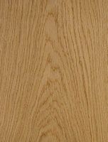 Chênes. Bois en coupe tangentielle. Cliquer pour agrandir l'image.