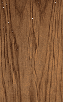 Chêne pédonculé. Bois. Cliquer pour agrandir l'image.