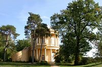 Chêne pédonculé. Belvédère de sans-souci. Cliquer pour agrandir l'image.