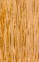Chêne sessile. Bois en coupe tangentielle. Cliquer pour agrandir l'image.