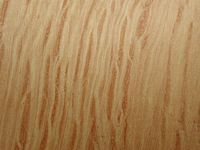 Chene vert. Bois en coupe longitudinale. Cliquer pour agrandir l'image.