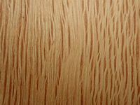 Chene vert. Bois en coupe tangentielle. Cliquer pour agrandir l'image.