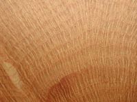 Chene vert. Bois en coupe radiale. Cliquer pour agrandir l'image.
