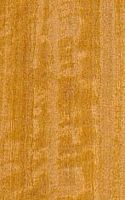 Citronnier de ceylan. Bois. Cliquer pour agrandir l'image.