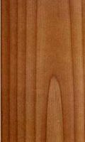 Douglas vert. Bois en coupe tangentielle. Cliquer pour agrandir l'image.