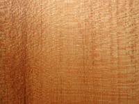 Érable sycomore. Bois en coupe tangentielle. Cliquer pour agrandir l'image.