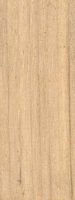 Érable sycomore. Bois en coupe longitudinale. Cliquer pour agrandir l'image.