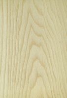 Frêne commun. Bois en coupe tangentielle. Cliquer pour agrandir l'image.