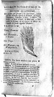 Froment cultivé. Histoire des plantes. Cliquer pour agrandir l'image.