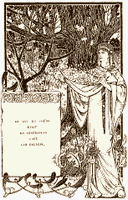 Gui des feuillus. Présentation du gui chez les Gaulois. Cliquer pour agrandir l'image.