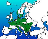 Hêtre commun. Répartition. Cliquer pour agrandir l'image.