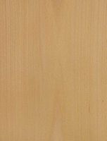 Hêtre commun. Bois de hêtre commun étuvé. Cliquer pour agrandir l'image.