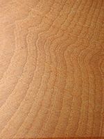Hêtre commun. Bois en coupe radiale. Cliquer pour agrandir l'image.