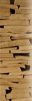 Hêtre commun. Feuilles de placage de hêtre. Cliquer pour agrandir l'image.