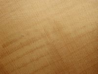 Houx commun. Bois en coupe radiale. Cliquer pour agrandir l'image.