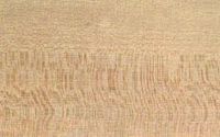 Houx commun. Bois maillé de houx commun. Cliquer pour agrandir l'image.
