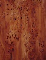 If commun. Loupe de bois. Cliquer pour agrandir l'image.