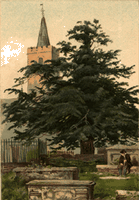 If commun. Dessin cimetière. Cliquer pour agrandir l'image.