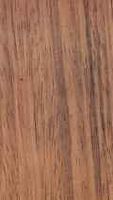 Iroko. Bois. Cliquer pour agrandir l'image.