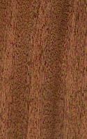 Kossipo. Bois en coupe longitudinale. Cliquer pour agrandir l'image.