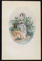 Lilas commun. Planche Granville. Cliquer pour agrandir l'image.