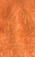 Madrona. Bois loupe. Cliquer pour agrandir l'image.