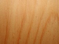 Mélèze commun. Bois en coupe tangentielle. Cliquer pour agrandir l'image.