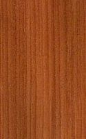 Mélèze commun. Bois en coupe longitudinale. Cliquer pour agrandir l'image.