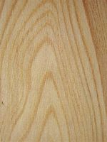 Mélèze commun. Bois en coupe tangentielle. Cliquer pour agrandir l'image.