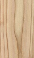 Mélèze commun. Bois en coupe longitudinale. Cliquer pour agrandir l'image.