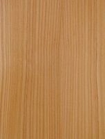 Mélèze commun. Bois en coupe tangentielle. Cliquer pour agrandir l'image.