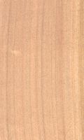 Mérisier des oiseaux. Bois en coupe longitudinale. Cliquer pour agrandir l'image.