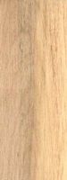 Noisetier commun. Bois en coupe tangentielle. Cliquer pour agrandir l'image.