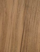 Noyer d'Europe. Bois en coupe longitudinale. Cliquer pour agrandir l'image.