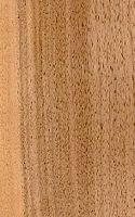Noyer d'Europe. Bois en coupe longitudinale. Cliquer pour agrandir l'image.