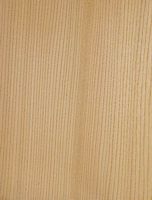 Orme champêtre. Bois. Cliquer pour agrandir l'image.
