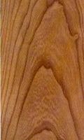 Orme champêtre. Bois en coupe tangentielle. Cliquer pour agrandir l'image.