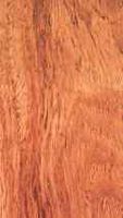 Padouk d'asie. Bois. Cliquer pour agrandir l'image.