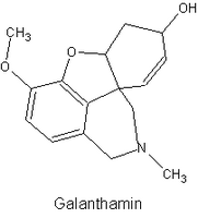 Perce-neige, Galanthamine. Cliquer pour agrandir l'image.