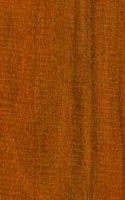 Pernambouc. Bois. Cliquer pour agrandir l'image.