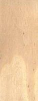 Peuplier blanc. Bois en coupe longitudinale. Cliquer pour agrandir l'image.