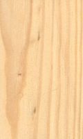 Pin laricio. Bois en coupe longitudinale. Cliquer pour agrandir l'image.
