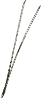 Pin maritime. Aiguille. Cliquer pour agrandir l'image.