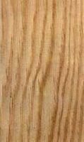 Pin maritime. Bois en coupe tangentielle. Cliquer pour agrandir l'image.