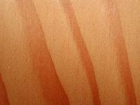 Pin sylvestre. Bois en coupe tangentielle. Cliquer pour agrandir l'image.