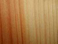 Pin sylvestre. Bois en coupe longitudinale. Cliquer pour agrandir l'image.
